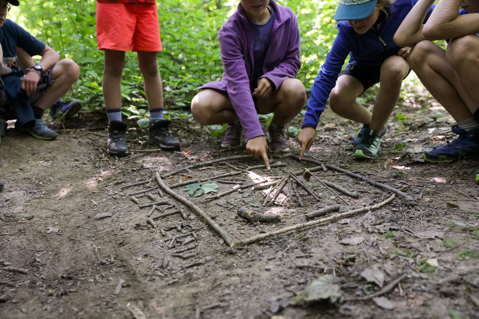 Les Experts de la forêt