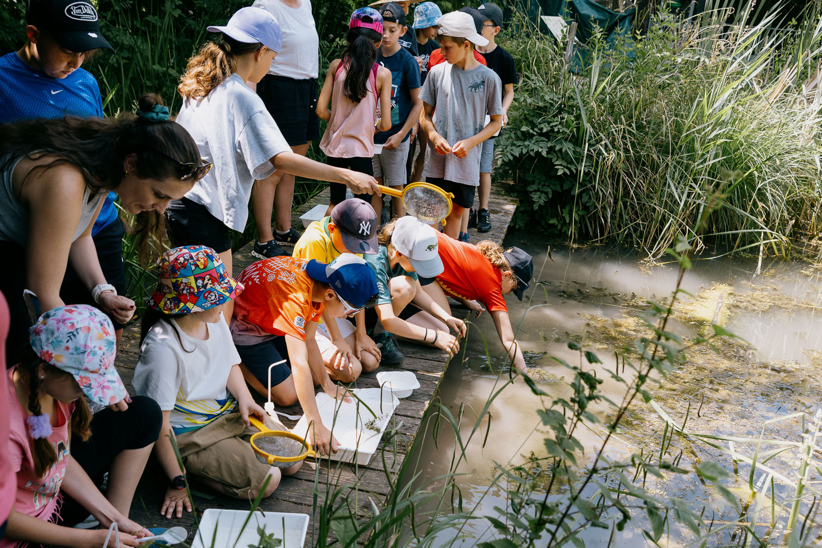 Les Experts de l'étang