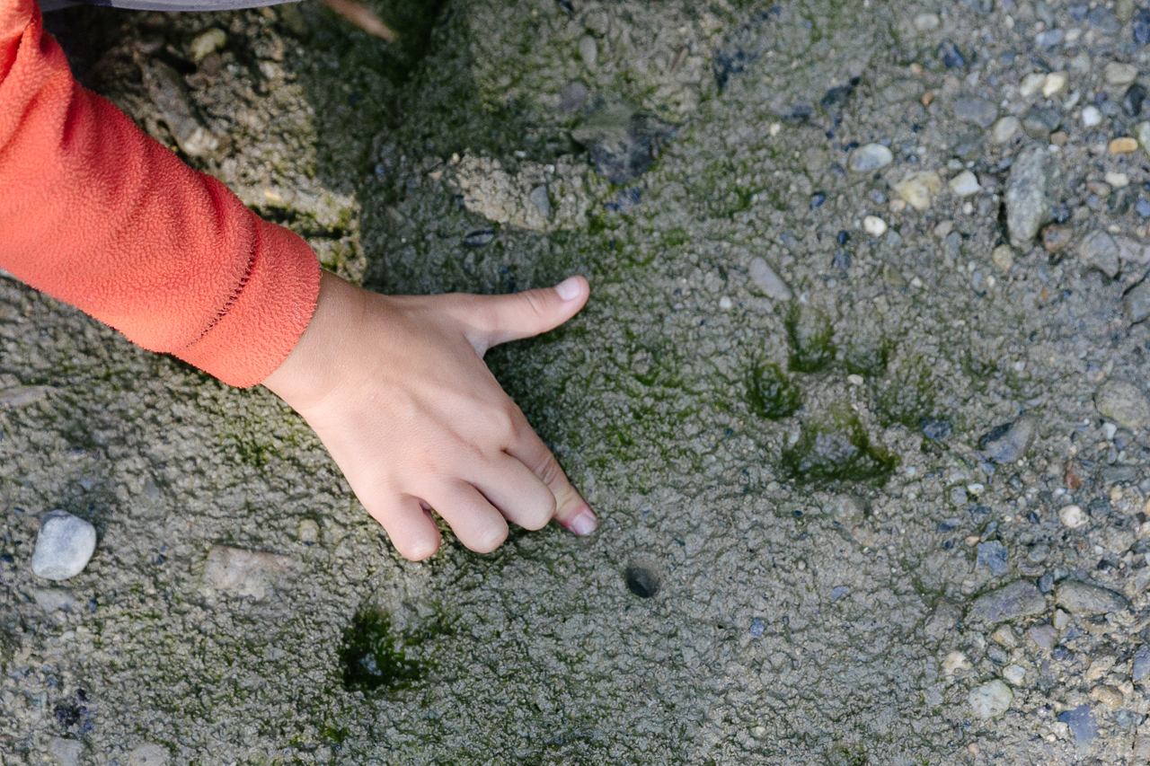 La chasse aux indices